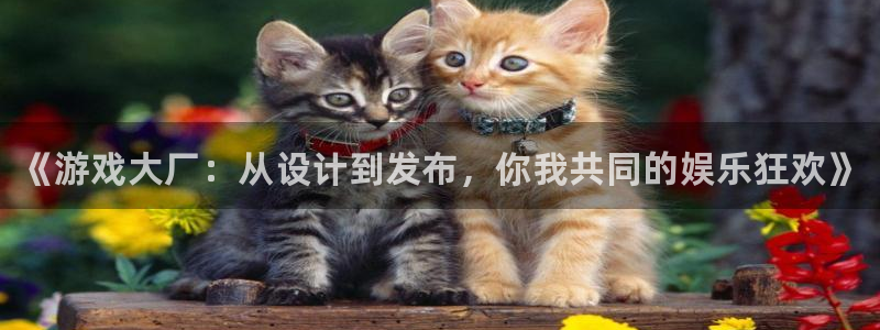 欧博娱乐平台登录：《游戏大厂：从设计到发布，你我共同的娱乐狂
