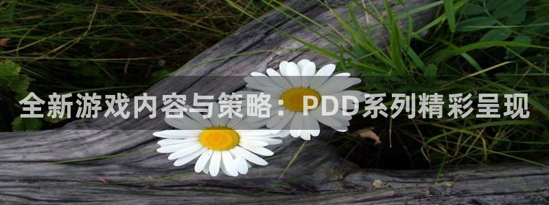 欧博娱乐怎么注册：全新游戏内容与策略：PDD系列精彩呈现