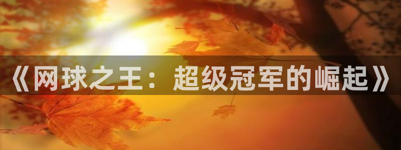 欧博娱乐代理登陆：《网球之王：超级冠军的崛起》