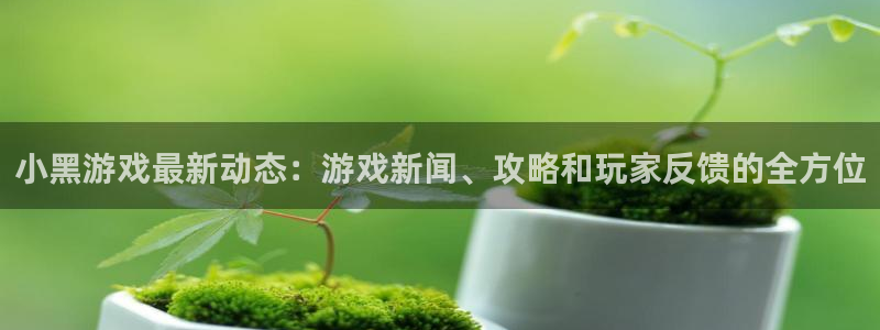 欧博娱乐平台官网入口：小黑游戏最新动态：游戏新闻、攻略和玩家