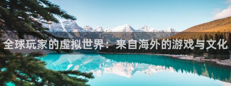 欧博娱乐平台注册资金多少：全球玩家的虚拟世界：来自海外的游戏
