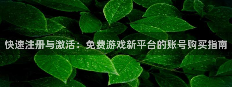 欧博娱乐网页登录入口：快速注册与激活：免费游戏新平台的账号购