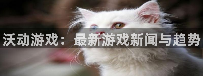 欧博娱乐注册平台：沃动游戏：最新游戏新闻与趋势