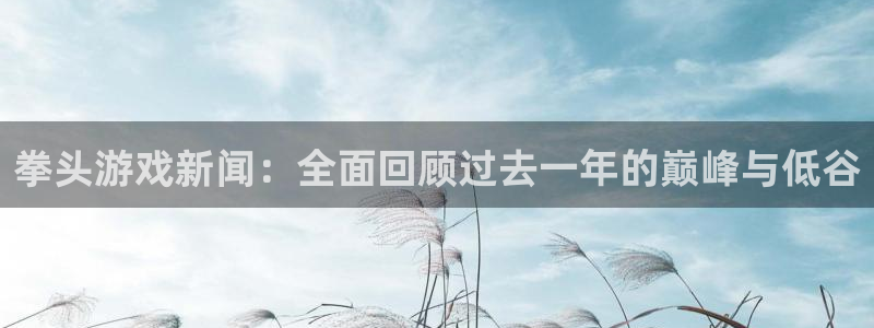 欧博娱乐平台官方网站：拳头游戏新闻：全面回顾过去一年的巅峰与