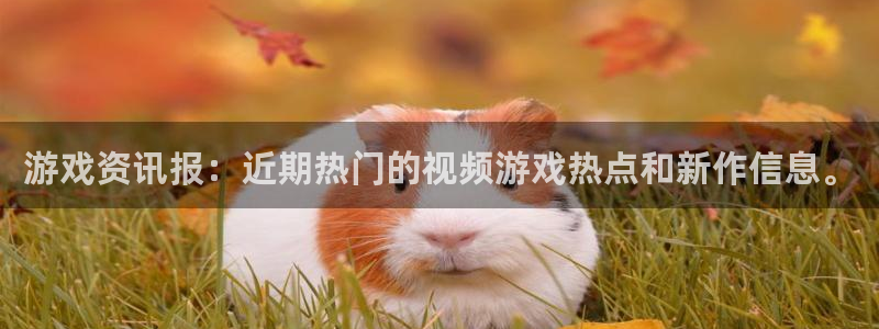欧博娱乐平台注册开户：游戏资讯报：近期热门的视频游戏热点和新