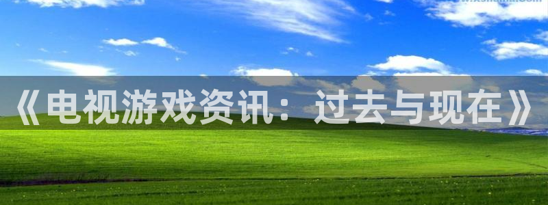 欧博娱乐4开户：《电视游戏资讯：过去与现在》