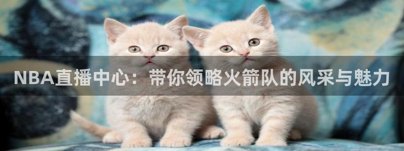 斗球直播nba免费观看下载：NBA直播中心：带你领略火箭队的风采与魅力