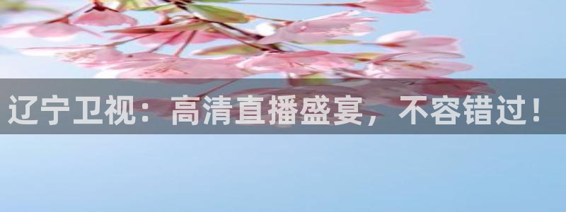 斗球直播官网下载入口：辽宁卫视：高清直播盛宴，不容错过！
